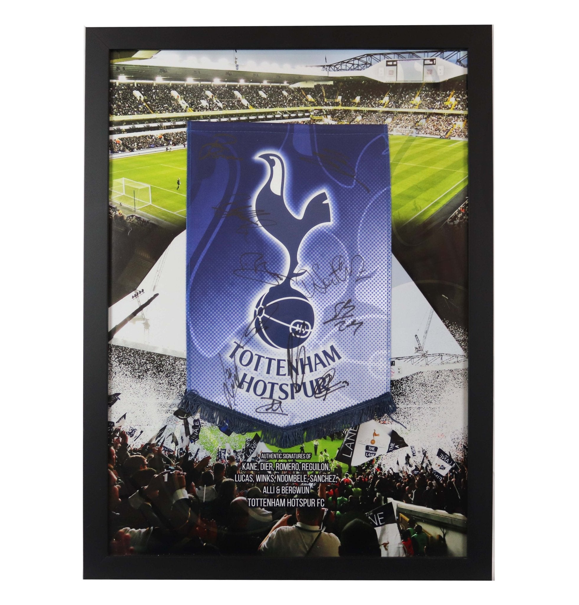 Tottenham Hotspur pennant 10 signed - Memorabilia Framers Shop